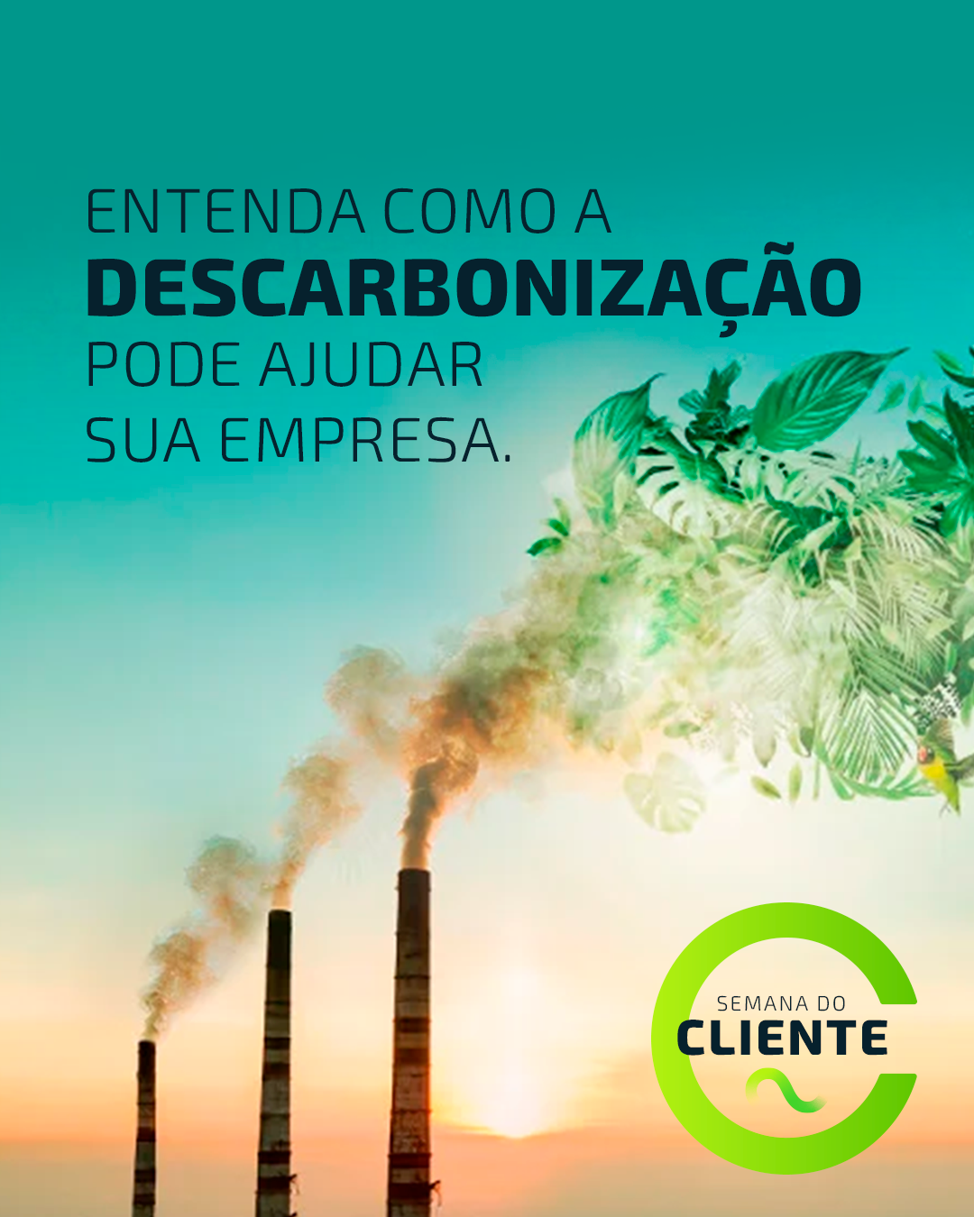 [INFOGRÁFICO] Entenda a importância da descarbonização para o seu negócio